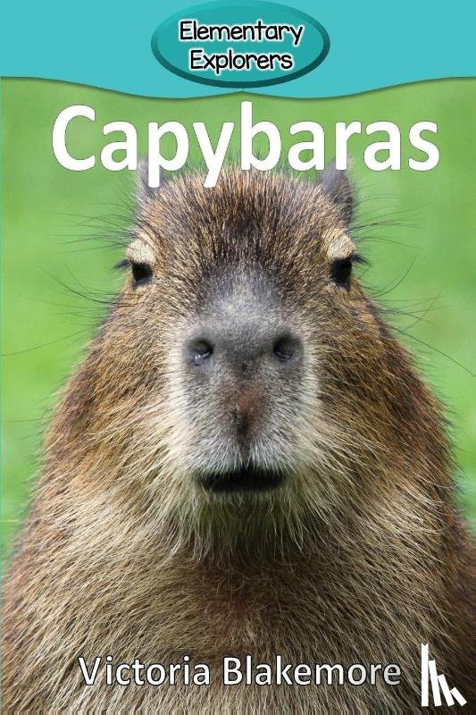 Blakemore, Victoria - Capybaras