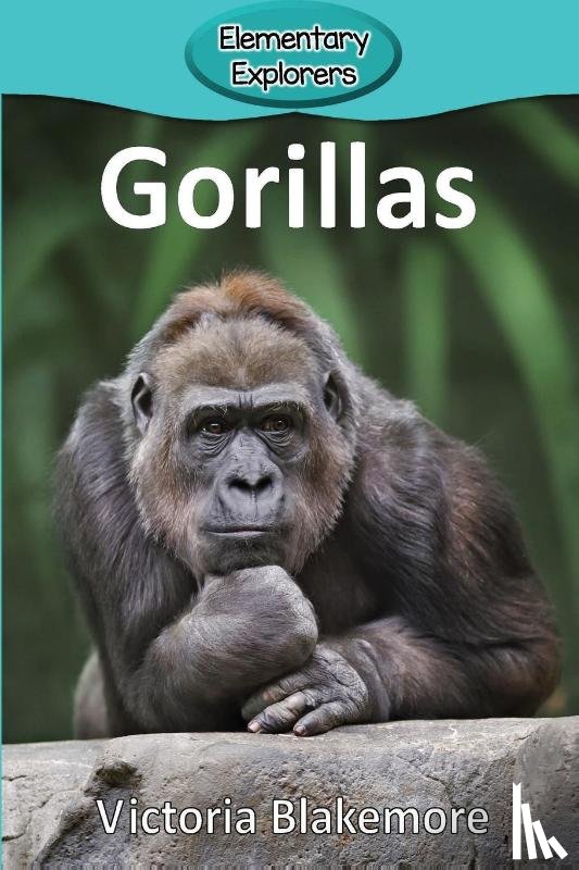 Blakemore, Victoria - Gorillas