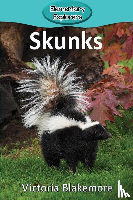 Blakemore, Victoria - Skunks