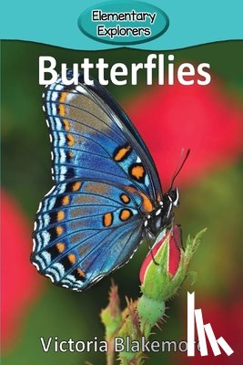Blakemore, Victoria - Butterflies