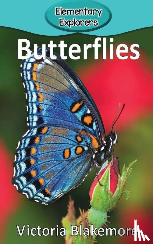 Blakemore, Victoria - Butterflies