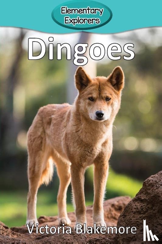 Blakemore, Victoria - Dingoes