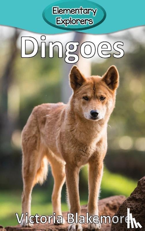 Blakemore, Victoria - Dingoes
