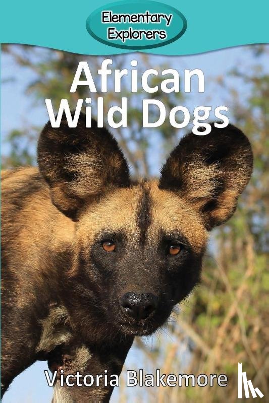 Blakemore, Victoria - African Wild Dogs