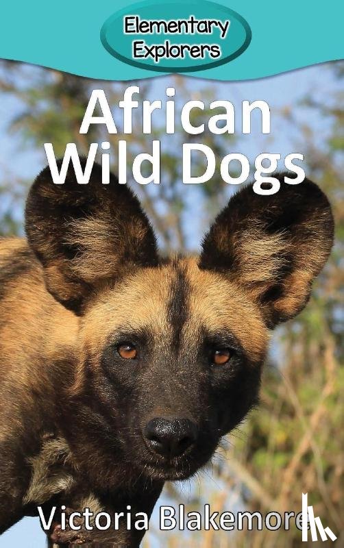 Blakemore, Victoria - African Wild Dogs