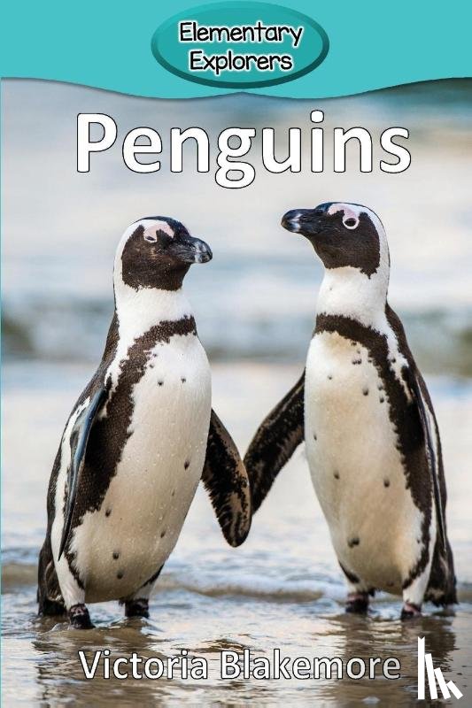 Blakemore, Victoria - Penguins