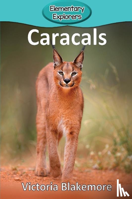 Blakemore, Victoria - Caracals