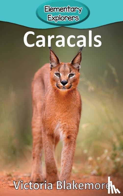 Blakemore, Victoria - Caracals