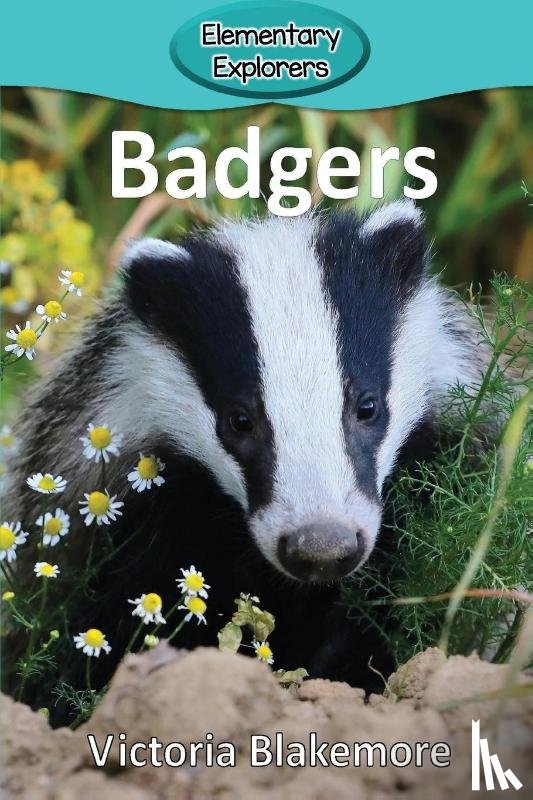 Blakemore, Victoria - Badgers