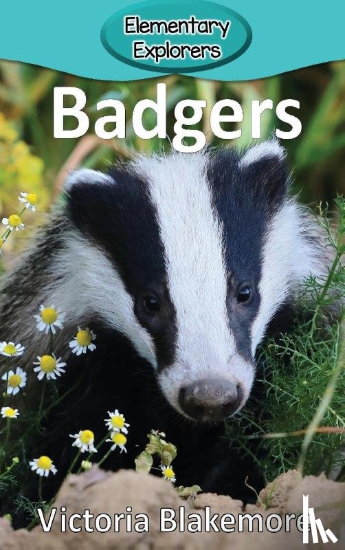Blakemore, Victoria - Badgers