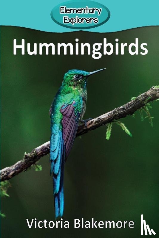 Blakemore, Victoria - Hummingbirds