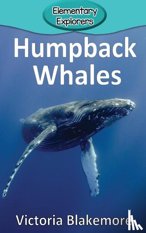 Blakemore, Victoria - Humpback Whales