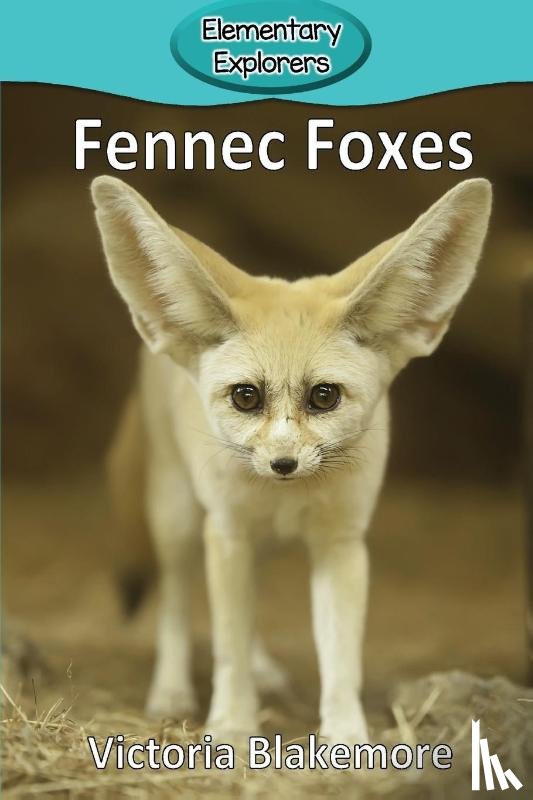 Blakemore, Victoria - Fennec Foxes