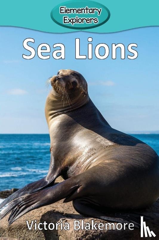 Blakemore, Victoria - Sea Lions