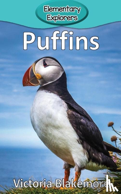 Blakemore, Victoria - Puffins