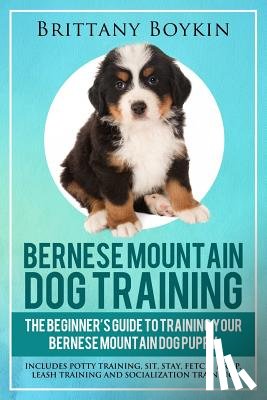 Boykin, Brittany - Bernese Mountain Dog Training