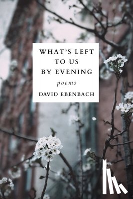 Ebenbach, David - What's Left to Us by Evening