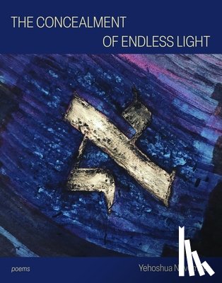 November, Yehoshua - The Concealment of Endless Light