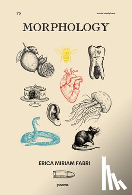 Fabri, Erica Miriam - Morphology
