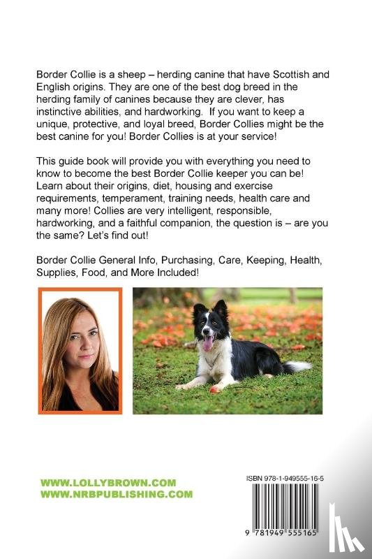 Brown, Lolly - Border Collie Dogs as Pets
