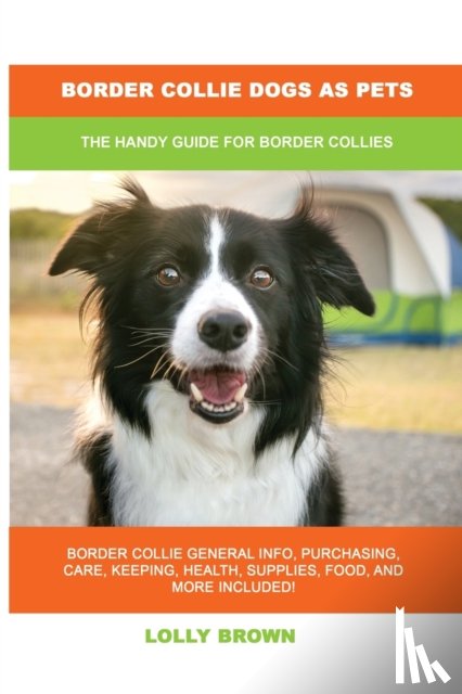 Brown, Lolly - Border Collie Dogs as Pets