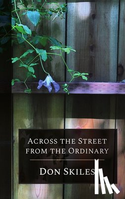 Skiles, Don - Across the Street from the Ordinary