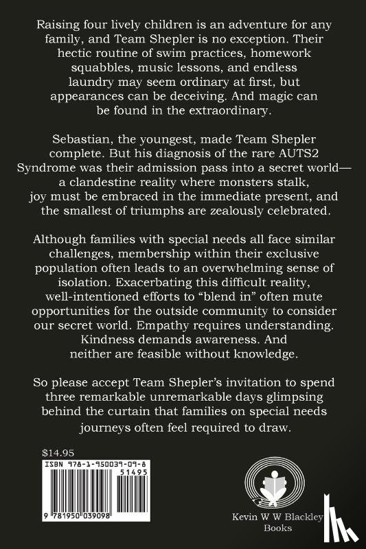 Shepler, Amanda - Behind the Curtain
