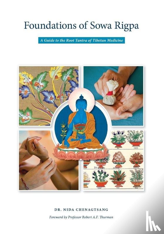 Chenagtsang, Nida - Foundations of Sowa Rigpa