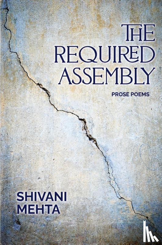 Mehta, Shivani - The Required Assembly