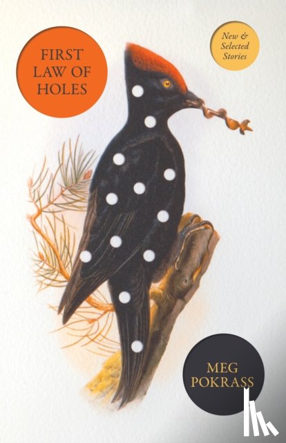 Pokrass, Meg - First Law of Holes