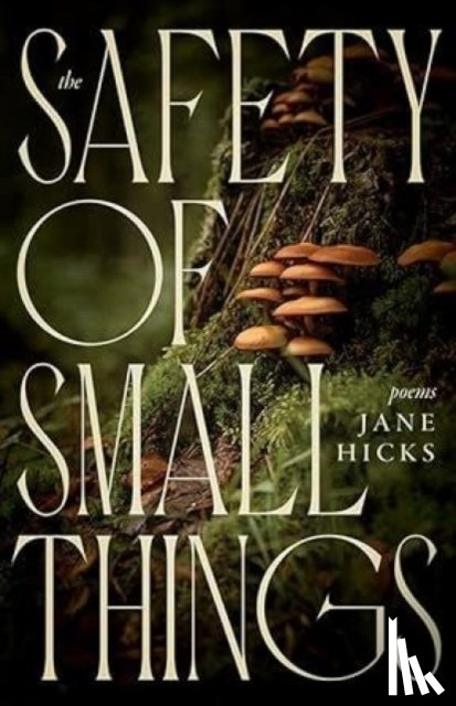 Hicks, Jane - The Safety of Small Things