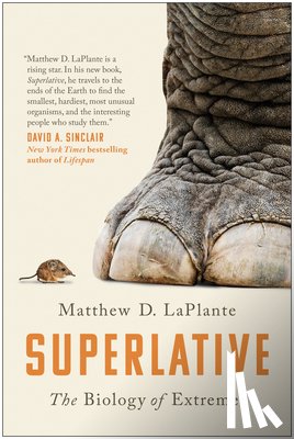 LaPlante, Matthew D. - Superlative