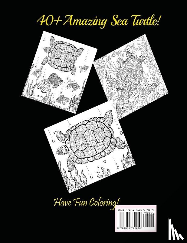 Publisher, Mainland - Amazing Sea Turtles