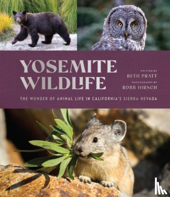 Pratt, Beth - Yosemite Wildlife