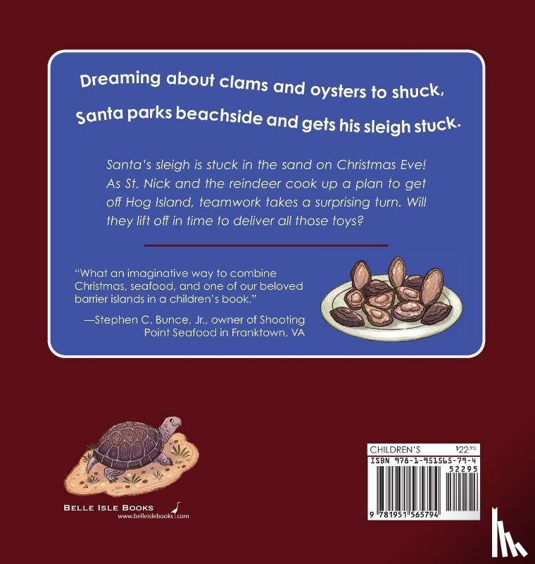 Foley, Karen - Santa's Sleigh Is Stuck