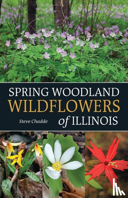 Chadde, Steve - Spring Woodland Wildflowers of Illinois