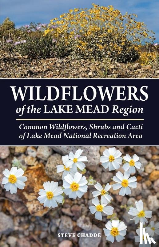 Chadde, Steve W - Wildflowers of the Lake Mead Region
