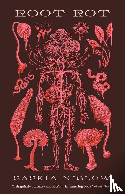 Nislow, Saskia - Nislow, S: Root Rot