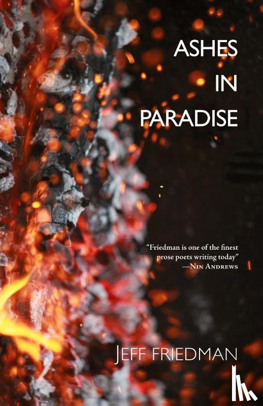 Friedman, Jeff - Ashes in Paradise