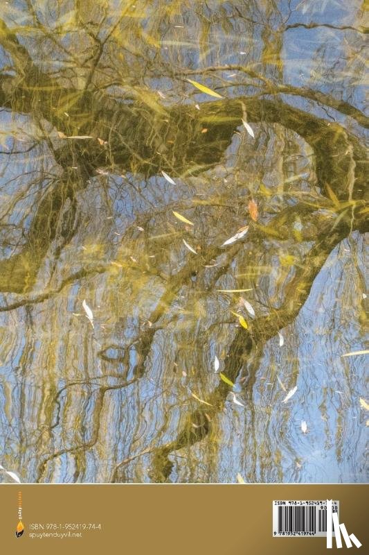 Robertson, Lauri - Where Do The Memories Go?