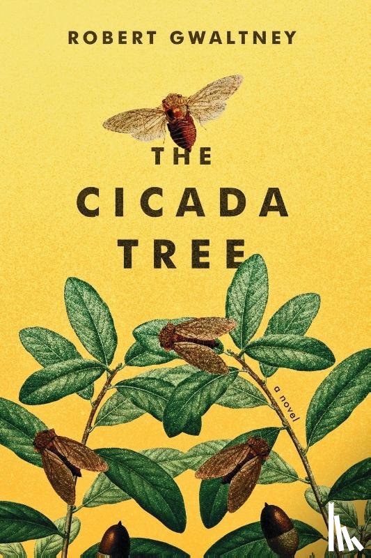 Gwaltney, Robert - The Cicada Tree