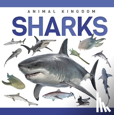 Hall, Alex - Sharks