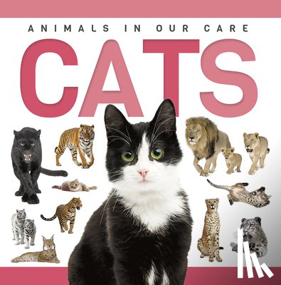 Phillips-Bartlett, Rebecca - Cats