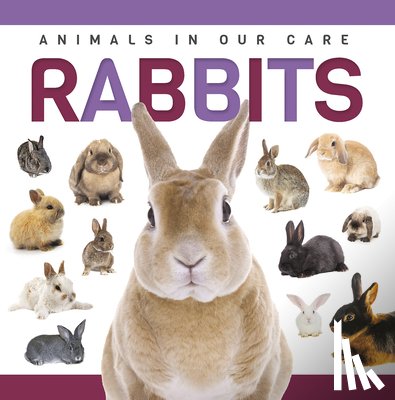 Hall, Alex - Rabbits