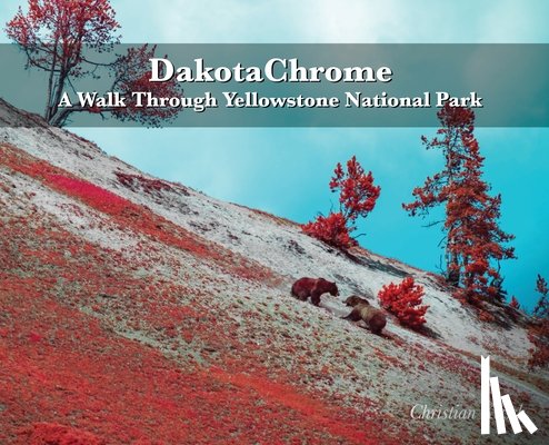 Kirsch, Christian - DakotaChrome: A Walk Through Yellowstone National Park