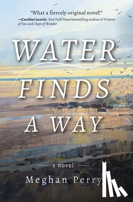 Perry, Meghan - Water Finds a Way a Novel