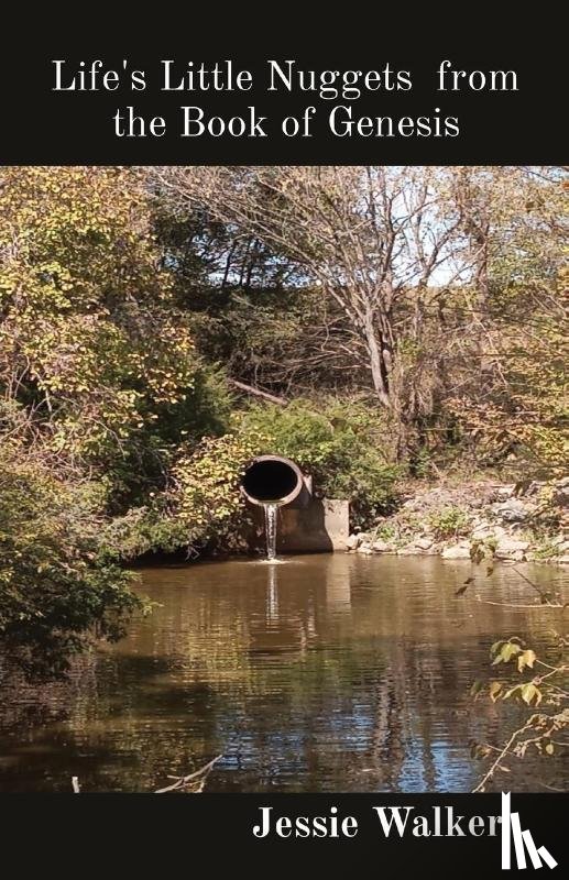 Walker, Jessie - Life's Little Nuggets from the Book of Genesis