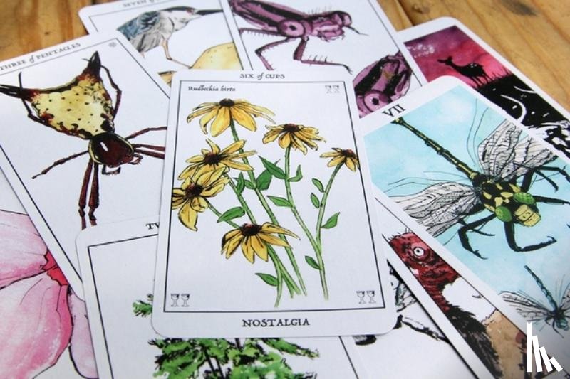 Wilson, David - Rust Belt Arcana (Tarot Deck)