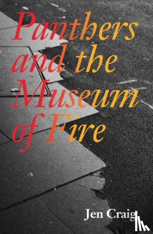 Craig, Jen, Kaiser, Bettina - Panthers and the Museum of Fire