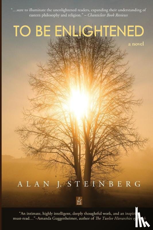 Steinberg, Alan J - To Be Enlightened